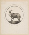 Caricature Showing Louis XVI as a Ram, Anonymous, French, 18th century French, Etching
