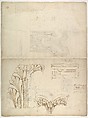 St. Peter's, Corinthian capital, elevation; base, elevation; volute, end elevation, profile, and view from below (recto) St. Peter's, Corinthian capital, acanthus leaf details and profiles of two cornice mouldings (verso), Drawn by Anonymous, French, 16th century, Dark brown ink, black chalk, and incised lines