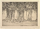 The Banyan Tree, Ernest S. Lumsden British, Etching