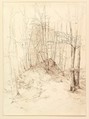 Forest view in the Menterschweige district near Munich, Heinrich Dreber (German, Dresden 1822–1875 Anticoli di Campagna, near Rome), Pen and brown ink, over a sketch in graphite
