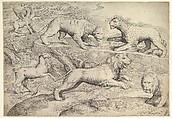 Six Animals, including lions, a tiger, a leopard, a griffin, and a goat, Battista Franco  Italian, Etching and engraving; second state of two