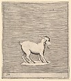 Ram, from "Ex Antiquis Cameorum et Gemmae Delineata", Anonymous, Italian, 16th century Italian, Engraving; third state