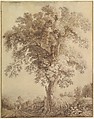 A Large Tree at Albano, Jacob Philipp Hackert  German, Pen and brown ink, brush and brown wash, over graphite; framing lines in pen and brown ink