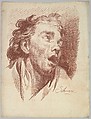 Head of a Youth with Open Mouth, Jakob Matthias Schmutzer  Austrian, Red chalk