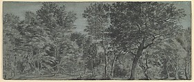 View of a Forest, Joris Abrahamsz. van der Haagen  Dutch, Pen and gray ink and washes with heightening in white gouache on two sheets of joined blue paper
