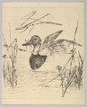 Duck, Félix Bracquemond French, Etching; proof