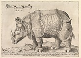 Rhinoceros, Enea Vico Italian, Engraving