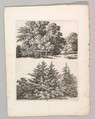 Studienblätter für Landschaftzeichner, Adrian Zingg (Swiss, St. Gallen 1734–1816 Leipzig), Etching and letterpress text in original lithographed, ochre-colored paper cover