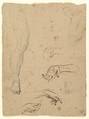 Studies of Legs, Hands, and Torso, Anonymous, Italian, 18th century Italian, Black chalk and pen and brown ink