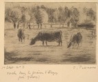 Cows in the Fields of Éragny, near Gisors, Camille Pissarro  French, Drypoint on laid paper; first state of two