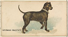 German Mastiff, from the Dogs of the World series for Old Judge Cigarettes, Goodwin & Company, Commercial color lithograph