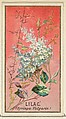 Lilac (Syringa Vulgaris), from the Flowers series for Old Judge Cigarettes, Goodwin & Company, Commercial color lithograph