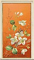 Clemantis (Clemantis Flammula), from the Flowers series for Old Judge Cigarettes, Goodwin & Company, Commercial color lithograph
