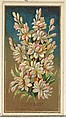 Tuberose (Pollanthes tuberosa), from the Flowers series for Old Judge Cigarettes, Goodwin & Company, Commercial color lithograph