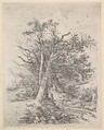 Tree Trunks and Lane, John Crome  British, Soft-ground etching on chine collé
