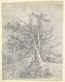 Study for Tree Trunks and Lane, John Crome (British, Norwich 1768–1821 Norwich), Graphite, soft ground etching on the verso