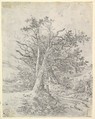 Study for Tree Trunks and Lane, John Crome (British, Norwich 1768–1821 Norwich), Graphite, soft ground etching on the verso