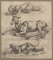 A Doe and Two Lionesses, Jan Cornelisz Vermeyen Netherlandish, Etching