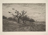 Tree Filled with Crows, Charles-François Daubigny French, Etching; first state of two (Delteil)