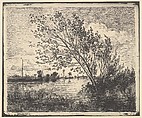 Scent of Alders, Charles-François Daubigny French, Cliché-verre (ed. 1921)