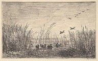 Ducks in the Marshes, Charles-François Daubigny  French, Cliché-verre (ed. 1921)