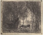 Cows in Woods, Charles-François Daubigny French, Cliché-verre (ed. 1921)