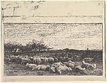 The Sheep Meadow, Charles-François Daubigny (French, Paris 1817–1878 Paris), Cliché-verre; second state of two (ed. 1921)