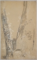 Study of Overgrown Trees; verso: Study of a Cypress and Two Overgrown Trees, Joseph Werner the Younger (Swiss, Berne 1637–1710 Berne), Brush and gray ink, white gouache