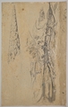 Study of Overgrown Trees; verso: Study of a Cypress and Two Overgrown Trees, Joseph Werner the Younger (Swiss, Berne 1637–1710 Berne), Brush and gray ink, white gouache