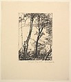 View from Edge Water, Frank Paul Besedick  American, Etching