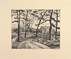 The Pines, Mortimer Borne  American, born Poland, Drypoint
