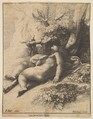 Infant Hercules asleep, Wenceslaus Hollar  Bohemian, Etching; third state of four, the plate is reduced in size in this state