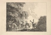 A Group of Stags Drinking, Thomas Rowlandson  British, Etching