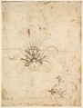 Design for a Headdress (front and side view), Baccio del Bianco (and workshop) Italian, Brown ink