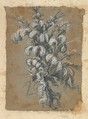 Design for a Lavish Headdress with Feathers on a Helmet, Baccio del Bianco (and workshop) Italian, Blue gouache or watercolor heightend with white