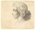 Head of young man with long hair in profile to the left, Wenceslaus Hollar Bohemian, Etching; only state