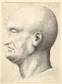 Head of a bald man in profile to left, Wenceslaus Hollar  Bohemian, Etching; only state