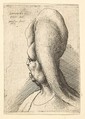 Bust of a deformed old woman with one tooth, facing left, Wenceslaus Hollar Bohemian, Etching; only state
