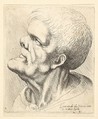 Head of a man with protruding chin and snub nose looking upwards in profile to left, Wenceslaus Hollar  Bohemian, Etching; only state
