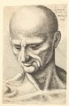 Head of a bald, sinewy man looking downwards, Wenceslaus Hollar  Bohemian, Etching; only state