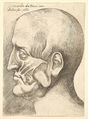 Ecorche head of a man in profile to left, Wenceslaus Hollar  Bohemian, Etching; only state