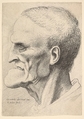 Head of an old man with a pronounced chin, short cropped hair and gaping mouth showing teeth in profile to left, Wenceslaus Hollar  Bohemian, Etching; only state