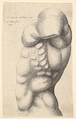 Male torso from neck to hip in profile to left, Wenceslaus Hollar  Bohemian, Etching; only state
