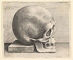 Skull in profile to right, Wenceslaus Hollar  Bohemian, Etching; only state