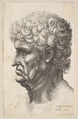 Head of a man with thick curly hair in profile to the left, Wenceslaus Hollar  Bohemian, Etching, first state of two