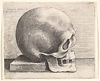 Skull in profile to right, Wenceslaus Hollar  Bohemian, Etching; only state