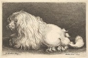 White dog, Wenceslaus Hollar  Bohemian, Etching; only state