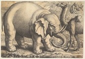 Elephant and Camel (reverse copy), Wenceslaus Hollar  Bohemian, Etching