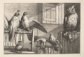Hawks and owls, Wenceslaus Hollar  Bohemian, Etching; only state
