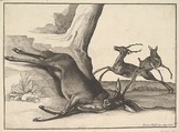 A dead stag (anonymous copy), Wenceslaus Hollar  Bohemian, Etching